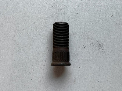 Wielbout 16MM